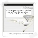 폴리테일즈