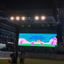2026 아시안 팝 페스티벌: 일요일에만 간 girl의 후기