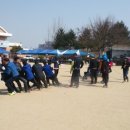 응봉초등학교 이미지