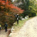 11월21일 전남 순천 조계산 산행안내(1시간 조출입니다) 이미지