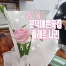 플레르나리