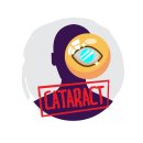 시야 이미지