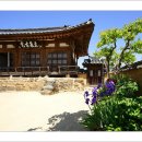 하회마을 Daum카페