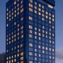 스테이 드레곤 이미지