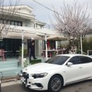 미스터고트