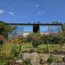 비클래시 이미지