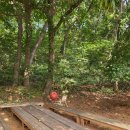 예빛유치원 이미지