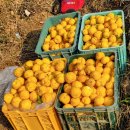 천등산철쭉공원 이미지