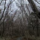 제주 한라산 성판악 코스 후기 ⛰️