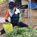 광적면 비암리