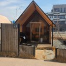 엠티브이21로 | 바베큐 팩토리 거북섬점 (국제 강아지의 날 행사) 후기, 애견 동반 식당 리뷰 (내돈내산)