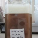 광산구-054 이미지