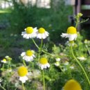 개신농장 이미지