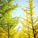 홍천군관광안내소 이미지