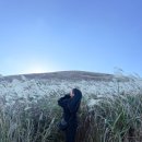 유한회사 미미카페 | 체감 2.3초 제주도여행🍊(With.미미)