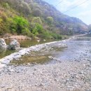 산울림 관광농원 이미지