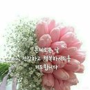 보름달커피