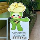 망운초등학교 네이버블로그