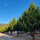 솔담길 | 군위 한밤 솔담길 오토캠핑장 후기, 대구근교캠핑장