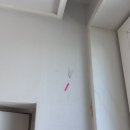 당산 한화 포레나 청년주택 퇴거 후기｜(원상복구비, 청소, 바닥)