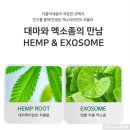 주름수술? 주름성형? 더클라세움 엑소좀 화장품쓰고 안 해요.( 엑소더마후기)