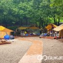 다리안캠핑장 이미지