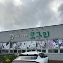 머그면 돼지 | 모구리 흑돼지전문점 제주도 서귀포 맛집 성산읍 돼지고기 간장게장 찐 후기