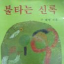 신록성장