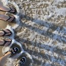 슬로우오션 풀빌라 펜션 이미지