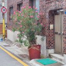 220925 부산 여행 2일차: 외롭지만 행복해