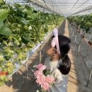 장태산 농장 이미지