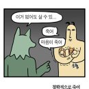 더싼아이스크림 | 닌자 크리미 1년 실사용 후기 | 아직도 잘 쓰는 저당 아이스크림 메이커