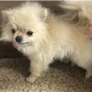 온천천남로 이미지