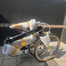 알투스 | 가성비 최고, 디에고 독도 미니벨로 구매 후기, 내돈내산