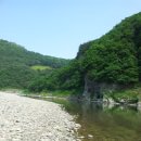 정희농박 이미지