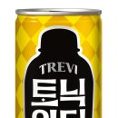 트레비