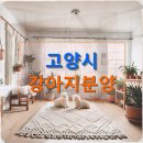 백마동물병원 | 고양시 강아지분양 단계별로 완벽하게 준비하는 법