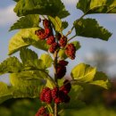 오디한의원 이미지