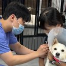 FM 동물메디컬센터 이미지