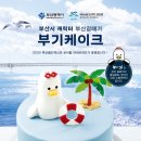부기포장 이미지