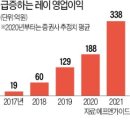 레이솔루션 이미지