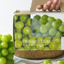 샤인목욕탕 이미지