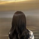 재광정밀 | 제주노형미용실 프로디헤어 - 붙임머리, 이렇게 자연스러울일? (단발탈출 리얼후기 영상포함!)