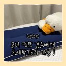 세탁을위한사람들 | 집앤콕 경추베개 후기 통세탁베개로 관리까지 편한 수면베개