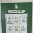 가평댕댕이애견펜션그린 | 가평 애견동반 숙소 추천 | 소형견과 다녀온 가성비 좋고 운동장 넓은 ’가평 댕댕이 애견 펜션 그린’