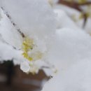 꽃집민박 이미지