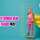 한국파워점핑 줄넘기 태권도 체육관 이미지