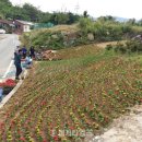 태장1동행정복지센터 이미지