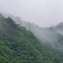 버덩 민박 이미지