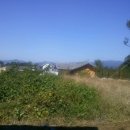 초입농장 이미지